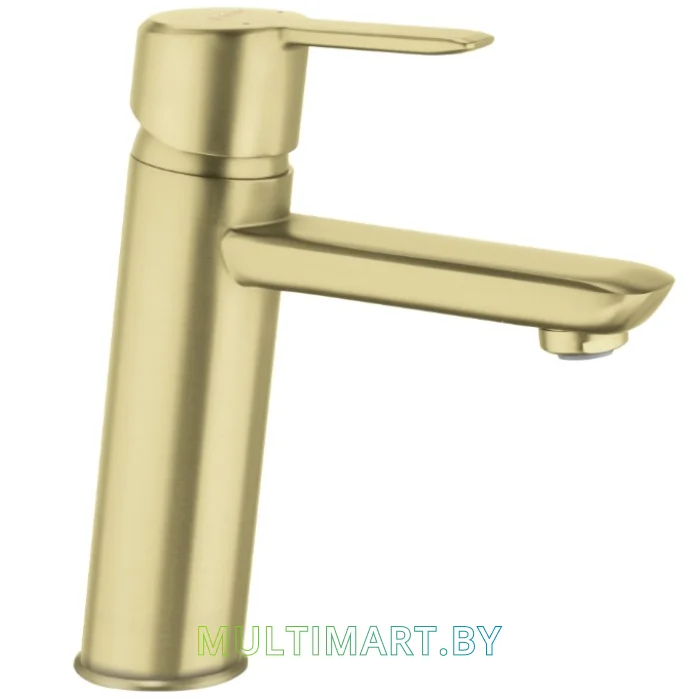 Смеситель Deante Arnika BQA R20M